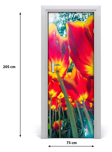 Adesivo per porta Tulipani 75x205 cm
