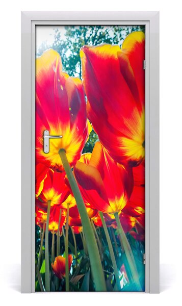 Adesivo per porta Tulipani 75x205 cm