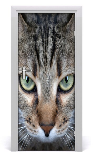 Poster adesivo per porta Gli occhi di gatto 75x205 cm