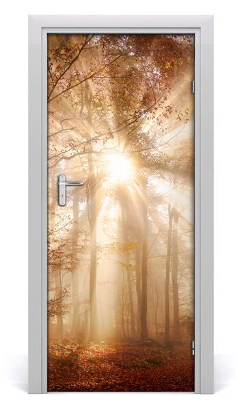 Adesivo per porta Foresta in autunno 75x205 cm