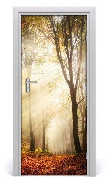 Poster adesivo per porta Foresta in autunno 75x205 cm