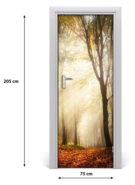 Poster adesivo per porta Foresta in autunno 75x205 cm