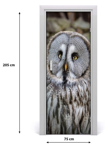 Poster adesivo per porta Gufo 75x205 cm