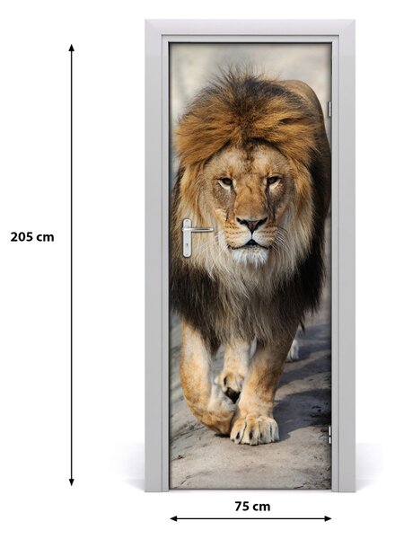 Adesivo per porta Leone 75x205 cm
