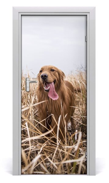 Adesivo per porta interna Golden retriever 75x205 cm