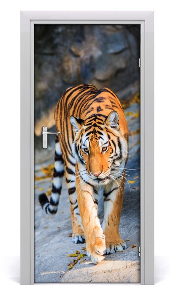 Adesivo per porta interna Tigre 75x205 cm