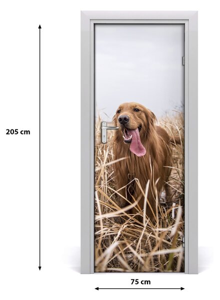 Adesivo per porta interna Golden retriever 75x205 cm