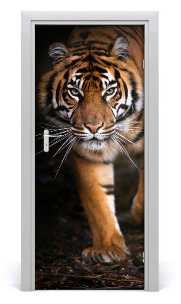 Rivestimento Per Porta Tigre 75x205 cm