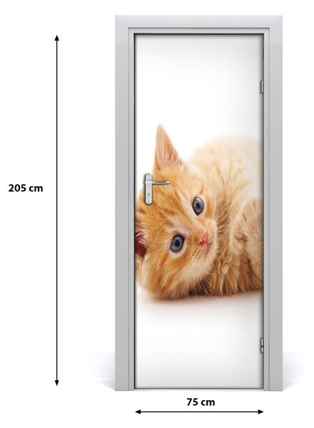 Adesivo per porta Little Rudy Cat 75x205 cm