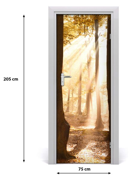 Adesivo per porta interna Foresta in autunno 75x205 cm