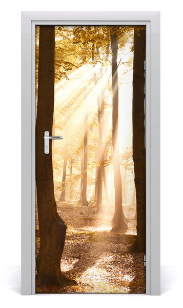 Adesivo per porta interna Foresta in autunno 75x205 cm