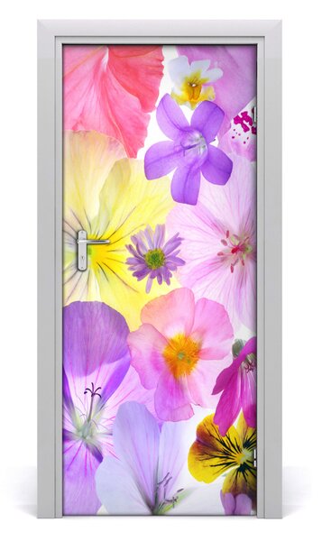 Adesivo per porta Fiori colorati 75x205 cm