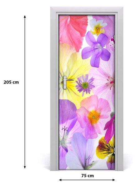 Adesivo per porta Fiori colorati 75x205 cm