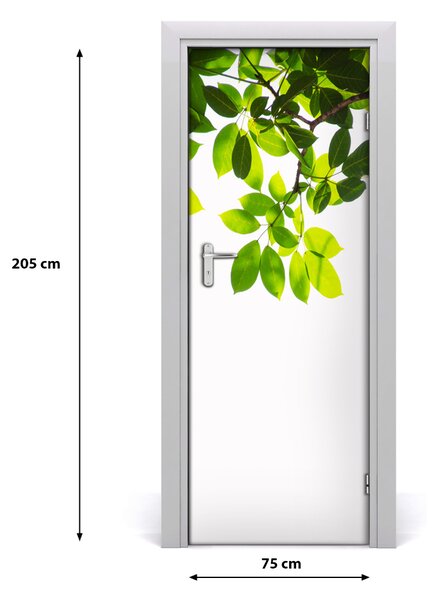 Adesivo per porta Foglie verdi 75x205 cm