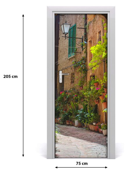 Rivestimento Per Porta Strada storica 75x205 cm