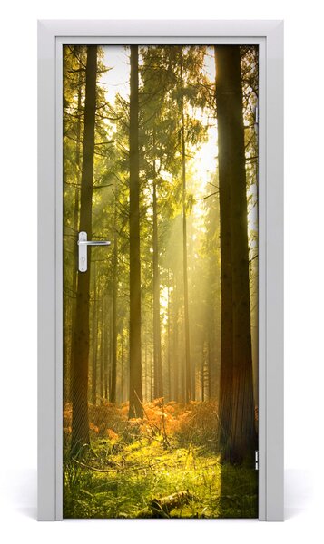 Adesivo per porta interna Paesaggi Bella foresta 75x205 cm