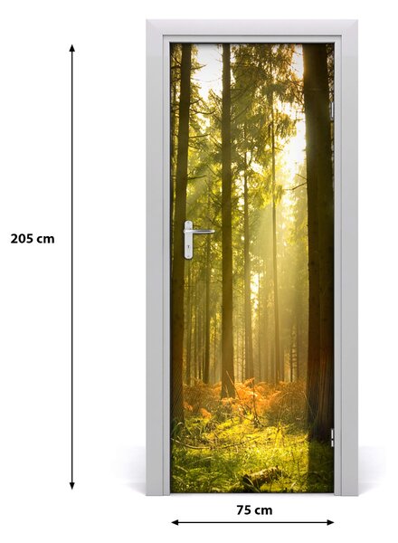 Adesivo per porta interna Paesaggi Bella foresta 75x205 cm