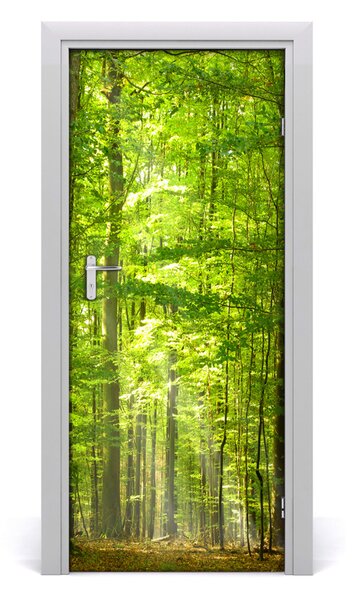 Adesivo per porta interna Paesaggi della foresta di faggi 75x205 cm