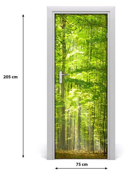 Adesivo per porta interna Paesaggi della foresta di faggi 75x205 cm