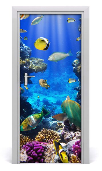 Sticker porta Carriera corallina 75x205 cm