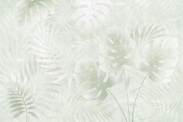Carta da parati Foglie tropicali con effetto grunge in tonalità di verde, Carta da parati Buffer, w10080v2 : Uwalls.it