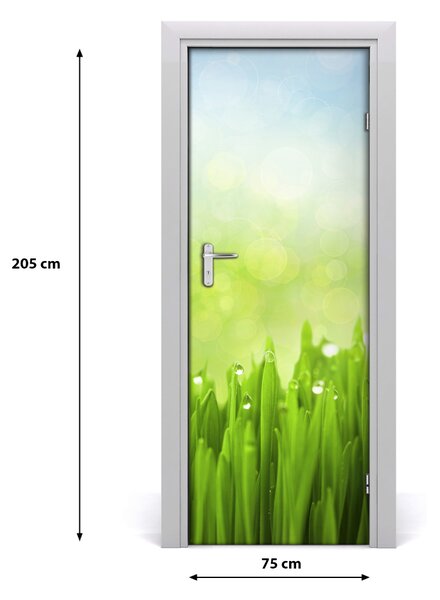 Adesivo per porta Erba 75x205 cm