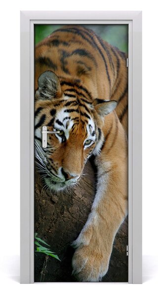 Poster adesivo per porta Tigre su un albero 75x205 cm