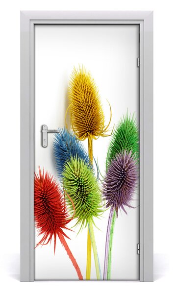 Adesivo per porta Cardo 75x205 cm