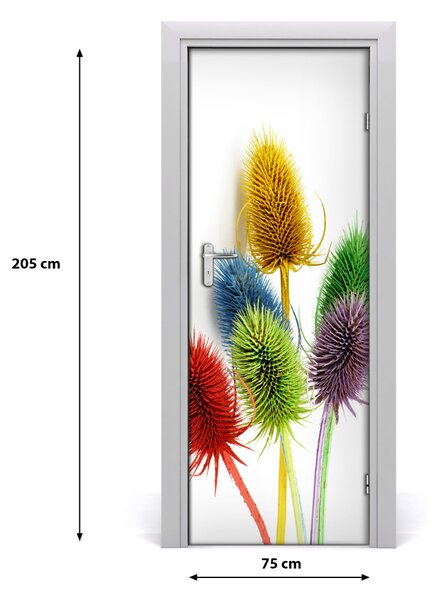 Adesivo per porta Cardo 75x205 cm