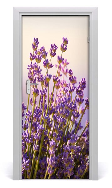 Adesivo per porta Lavanda 75x205 cm
