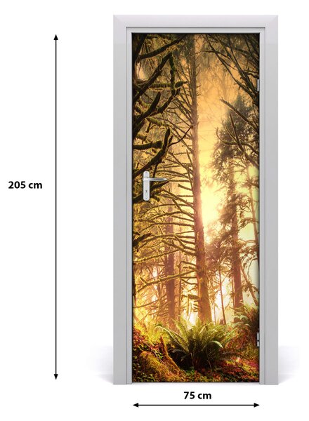 Adesivo per porta la foresta pluviale 75x205 cm