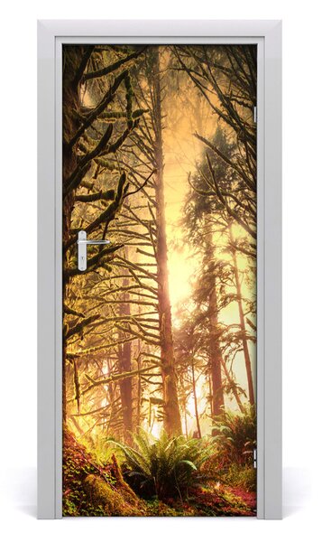 Adesivo per porta la foresta pluviale 75x205 cm