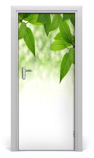 Adesivo per porta Foglie verdi 75x205 cm