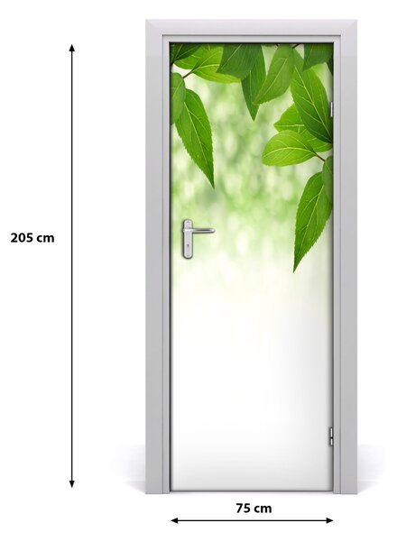 Adesivo per porta Foglie verdi 75x205 cm