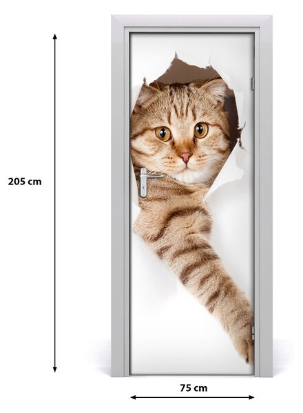 Poster adesivo per porta Gatto 75x205 cm