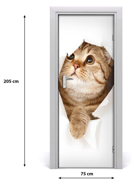 Adesivo per porta Gatto 75x205 cm