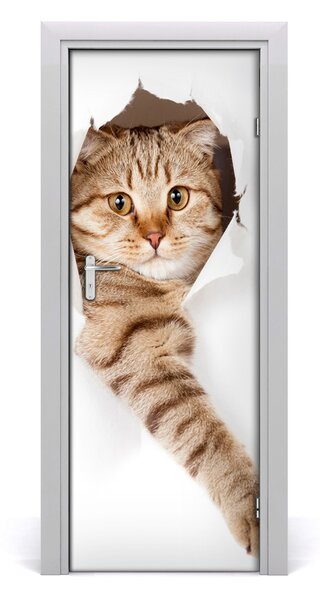 Poster adesivo per porta Gatto 75x205 cm