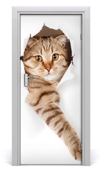 Poster adesivo per porta Gatto 75x205 cm