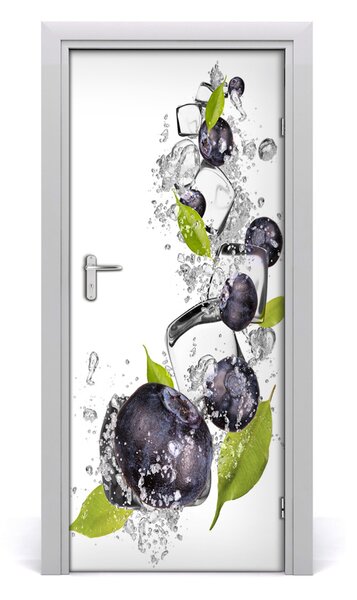 Rivestimento Per Porta Bacche e ghiaccio 75x205 cm