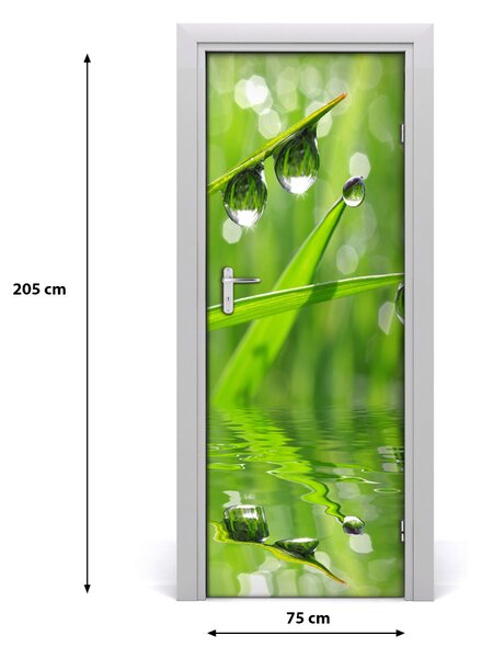 Poster adesivo per porta Lama d'erba 75x205 cm