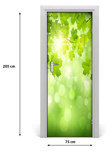 Adesivo per porta Foglie verdi 75x205 cm