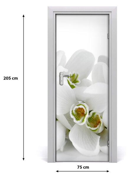 Adesivo per porta Bucaneve bianche 75x205 cm