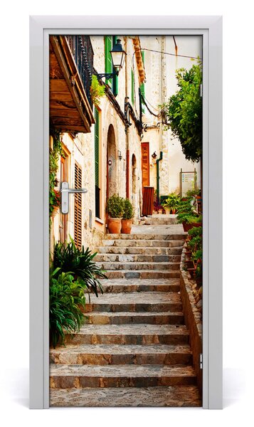 Rivestimento Per Porta Strade in Spagna 75x205 cm