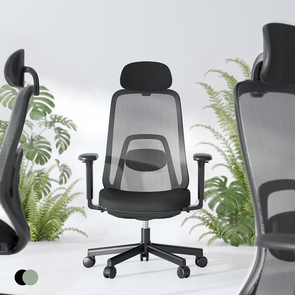 Sedia da ufficio ergonomica FLEXISPOT, con meccanismo di bilanciamento dinamico e poggiapiedi, braccioli 3D, supporto lombare adattabile, priva di formaldeide, colore nero
