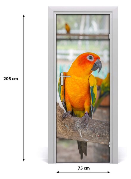 Poster adesivo per porta Pappagallo 75x205 cm
