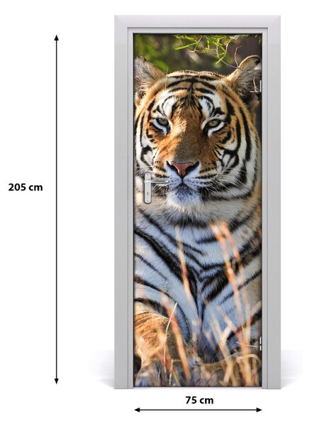 Adesivo per porta Tigre 75x205 cm