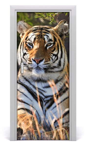 Adesivo per porta Tigre 75x205 cm