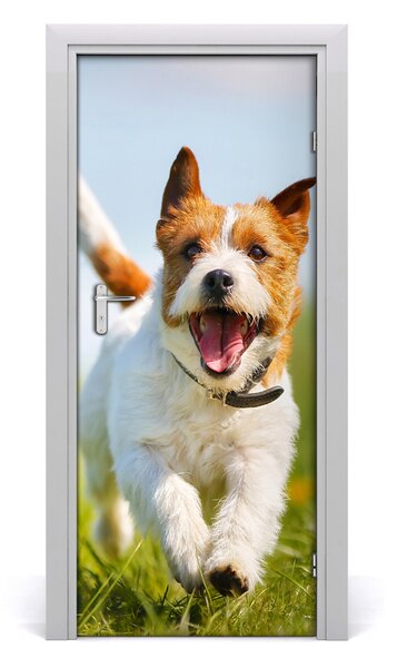 Adesivo per porta Jack Russell Dog 75x205 cm