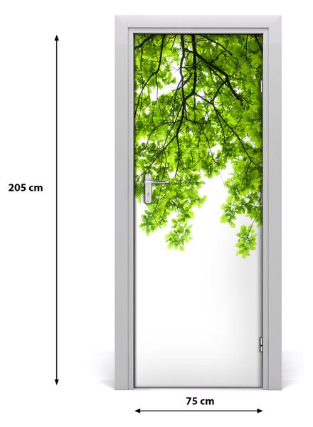Sticker porta Corona di alberi 75x205 cm