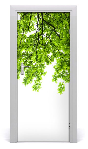 Sticker porta Corona di alberi 75x205 cm